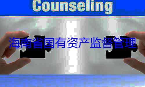 理委员会党资产监督管海南省国有有福接受审委副书记王查调查